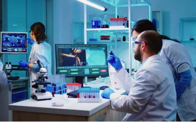 Estudiante de Agronomía de la Universidad de Los Lagos expuso investigación sobre lixiviación de herbicidas.